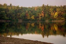 walden pond state park photo