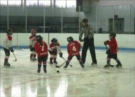 chelmsford forum ice rink photo