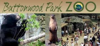 buttonwood park zoo photo