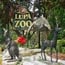 lupa zoo small photo