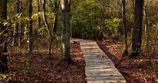 fruitlands museum walking trails photo