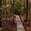 fruitlands museum walking trails small photo