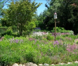 green briar nature center jam kitchen photo