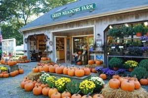 green meadows farm photo