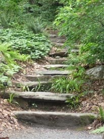 garden in the woods native plant trust photo