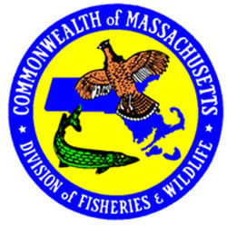 where to fish in massachusetts photo