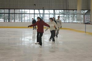 dcr ice skating rinks in ma photo