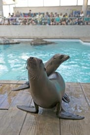 boston aquarium photo