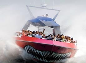 codzilla high-speed boat rides photo