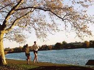 charles river parklands photo