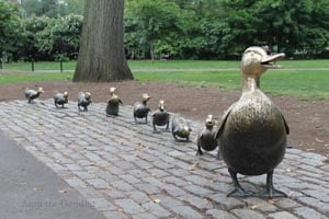 make way for ducklings boston photo
