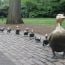 make way for ducklings boston small photo