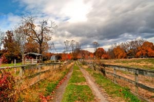 codman community farm photo