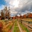 codman community farm small photo