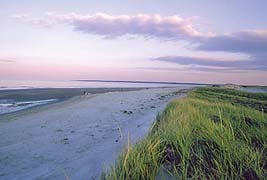 crane beach photo