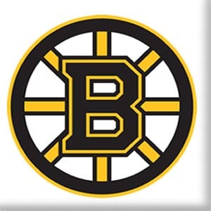 boston bruins hockey nhl photo