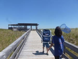 salisbury beach state reservation photo