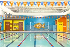 goldfish swim school photo