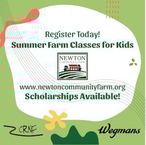 summer kids' classes at newton community farm photo