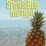 gloucester stage company summer camps performances small photo