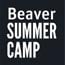 beaver summer camp small photo