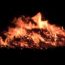 christmas tree bonfire salem willows small photo