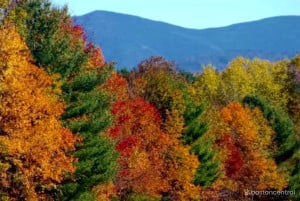 new england fall foliage hotlines websites photo