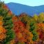 new england fall foliage hotlines websites small photo