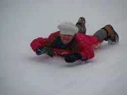 franklin park winter weekend snow festivals photo