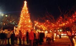 gloucester christmas tree lighting  santa parade photo