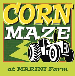 corn maze at marini farm photo