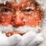 ics's polar express ride 2023 - sold out small photo