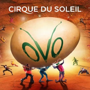 cirque du soleil presents ovo photo