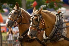 the bolton fair 2023 photo