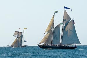 annual gloucester schooner festival photo