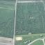 corn maize at sherman farm small photo