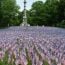 garden of flags for military heroes on the boston common 2023 small photo