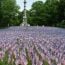 2024 memorial day flag garden small photo