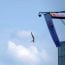 red bull cliff diving at the ica 2025 small photo