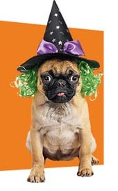 howl-o-ween dog costume contest photo