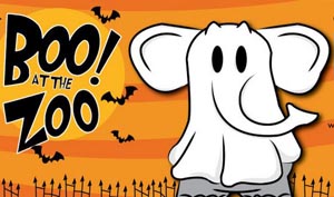 boo at the buttonwood park zoo photo