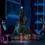urban nutcracker small photo