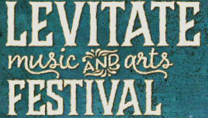 levitate music  arts festival 2023 photo