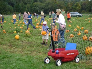 pumpkin day at bourne farm photo