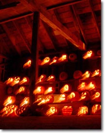 Halloween Prowl: Moose Hill Wildlife Sanctuary