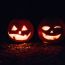pumpkins in the park at bird park small photo