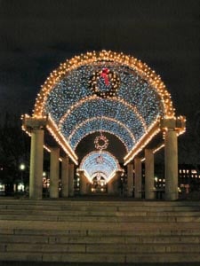 lighting of the trellis at christopher columbus park photo