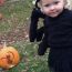 halloween happenings at ipswich river wildlife sanctuary small photo