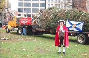 2023 boston's official holiday tree arrival from nova scotia photo