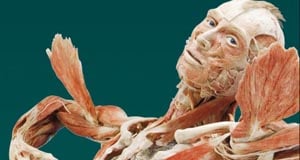 body worlds vital at faneuil hall photo